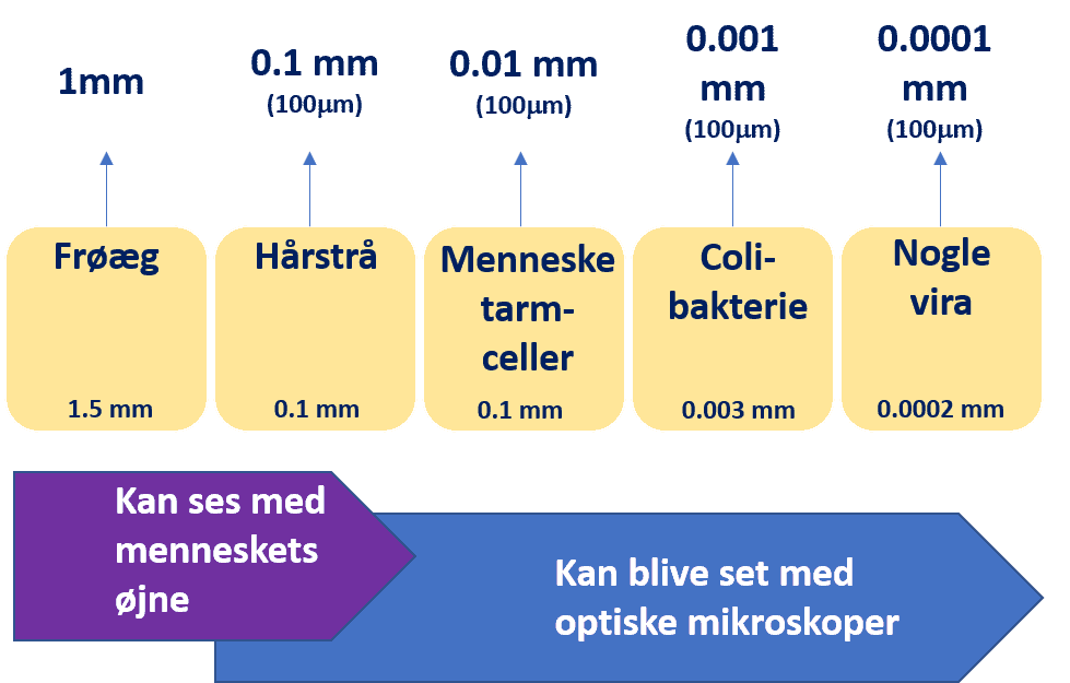 mikroskop emne størrelser