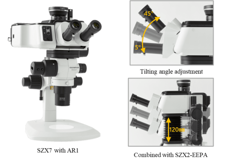 ar1 ergonomi mikroskop